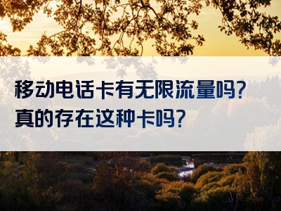 移动电话卡有无限流量吗？真的存在这种卡吗？