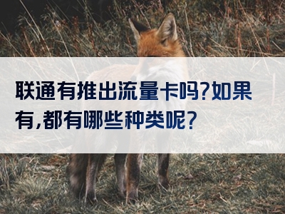 联通有推出流量卡吗？如果有，都有哪些种类呢？