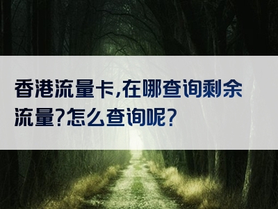 香港流量卡，在哪查询剩余流量？怎么查询呢？