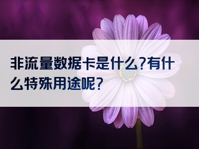 非流量数据卡是什么？有什么特殊用途呢？
