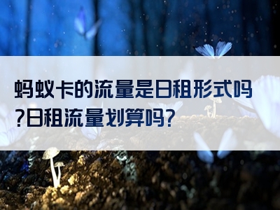蚂蚁卡的流量是日租形式吗？日租流量划算吗？
