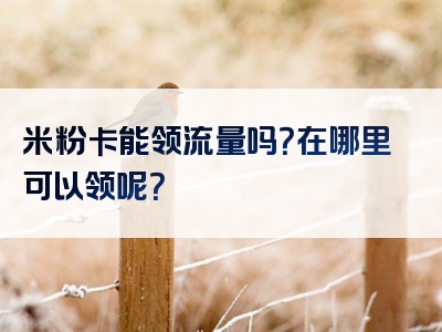 米粉卡能领流量吗？在哪里可以领呢？