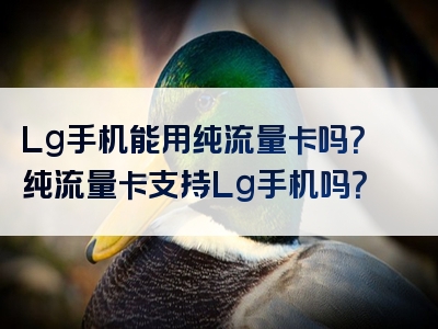 Lg手机能用纯流量卡吗？纯流量卡支持Lg手机吗？