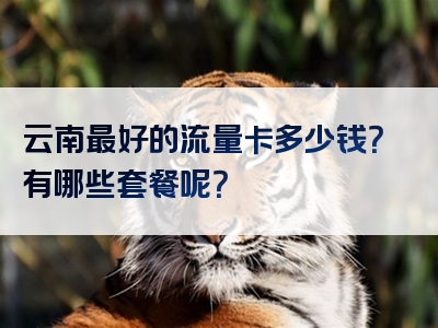 云南最好的流量卡多少钱？有哪些套餐呢？