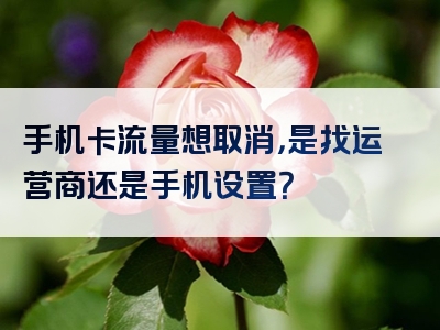 手机卡流量想取消，是找运营商还是手机设置？