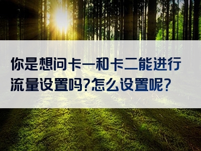 你是想问卡一和卡二能进行流量设置吗？怎么设置呢？