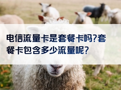 电信流量卡是套餐卡吗？套餐卡包含多少流量呢？