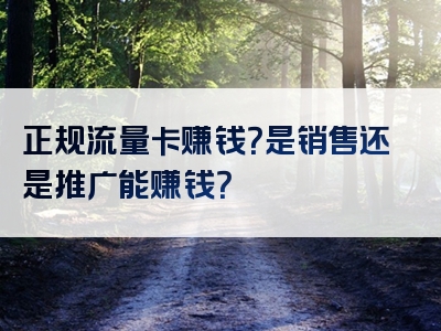 正规流量卡赚钱？是销售还是推广能赚钱？
