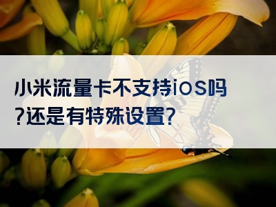 小米流量卡不支持ios吗？还是有特殊设置？