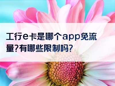 工行e卡是哪个app免流量？有哪些限制吗？