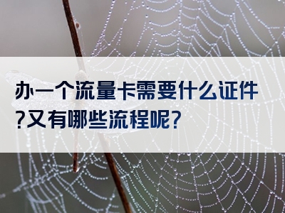 办一个流量卡需要什么证件？又有哪些流程呢？