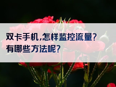 双卡手机，怎样监控流量？有哪些方法呢？