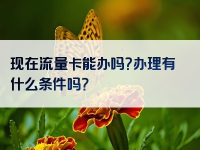 现在流量卡能办吗？办理有什么条件吗？