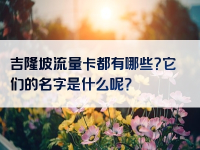 吉隆坡流量卡都有哪些？它们的名字是什么呢？