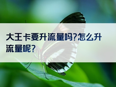 大王卡要升流量吗？怎么升流量呢？