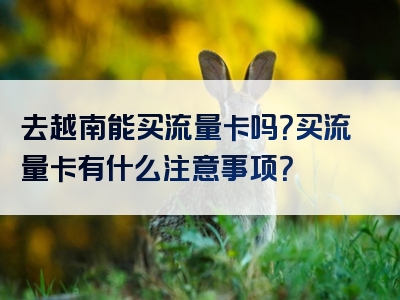 去越南能买流量卡吗？买流量卡有什么注意事项？