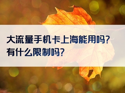 大流量手机卡上海能用吗？有什么限制吗？