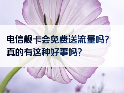 电信靓卡会免费送流量吗？真的有这种好事吗？