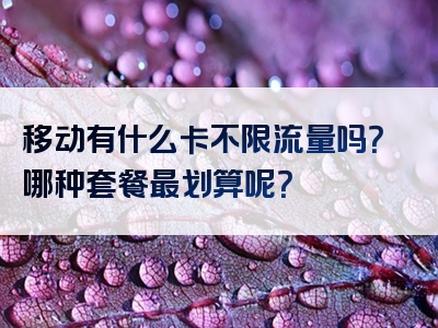 移动有什么卡不限流量吗？哪种套餐最划算呢？