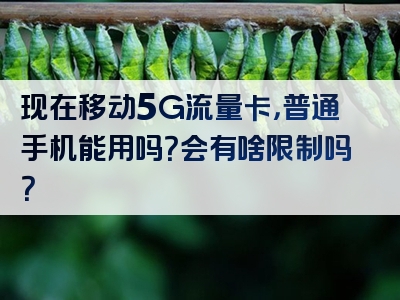 现在移动5G流量卡，普通手机能用吗？会有啥限制吗？