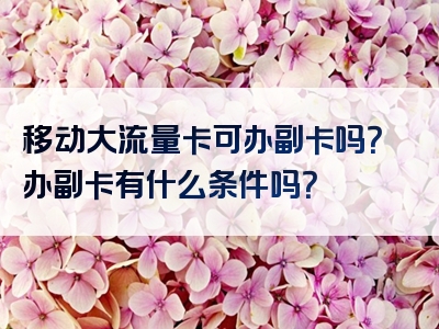 移动大流量卡可办副卡吗？办副卡有什么条件吗？
