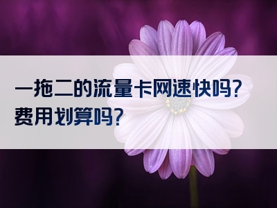 一拖二的流量卡网速快吗？费用划算吗？