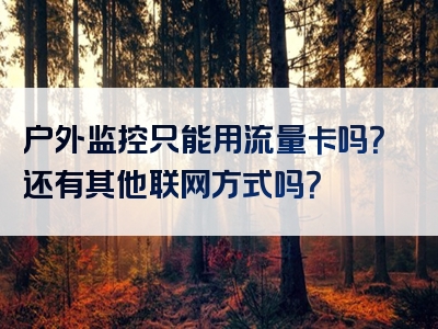 户外监控只能用流量卡吗？还有其他联网方式吗？