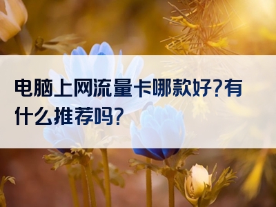 电脑上网流量卡哪款好？有什么推荐吗？