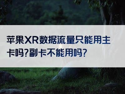 苹果XR数据流量只能用主卡吗？副卡不能用吗？