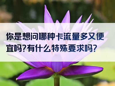 你是想问哪种卡流量多又便宜吗？有什么特殊要求吗？