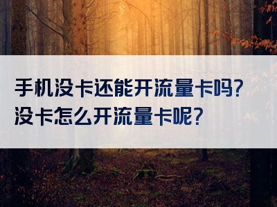 手机没卡还能开流量卡吗？没卡怎么开流量卡呢？