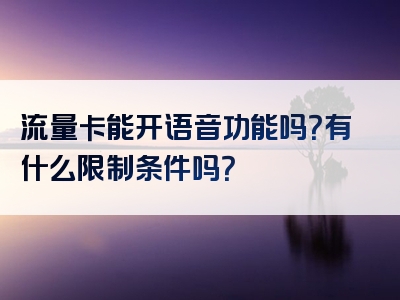 流量卡能开语音功能吗？有什么限制条件吗？