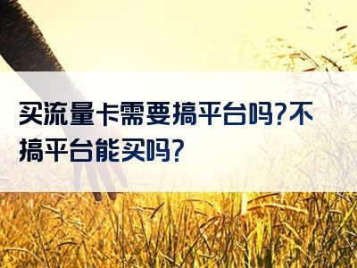 买流量卡需要搞平台吗？不搞平台能买吗？