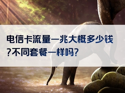 电信卡流量一兆大概多少钱？不同套餐一样吗？