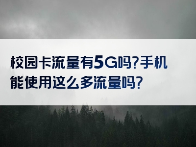 校园卡流量有5G吗？手机能使用这么多流量吗？