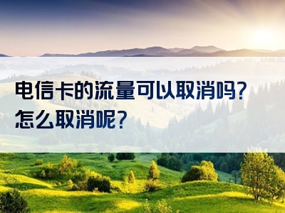 电信卡的流量可以取消吗？怎么取消呢？