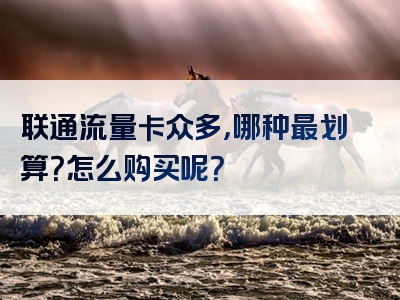 联通流量卡众多，哪种最划算？怎么购买呢？