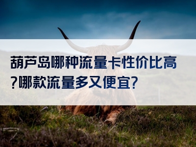葫芦岛哪种流量卡性价比高？哪款流量多又便宜？