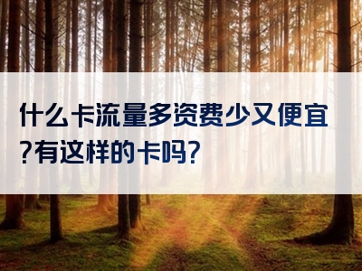 什么卡流量多资费少又便宜？有这样的卡吗？