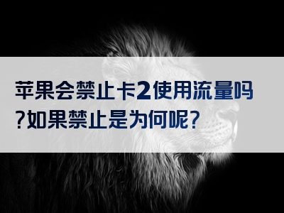 苹果会禁止卡2使用流量吗？如果禁止是为何呢？