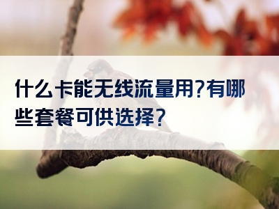 什么卡能无线流量用？有哪些套餐可供选择？