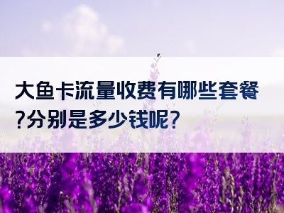 大鱼卡流量收费有哪些套餐？分别是多少钱呢？