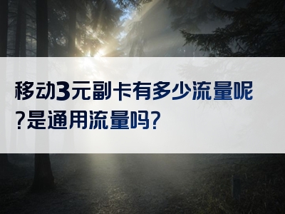 移动3元副卡有多少流量呢？是通用流量吗？