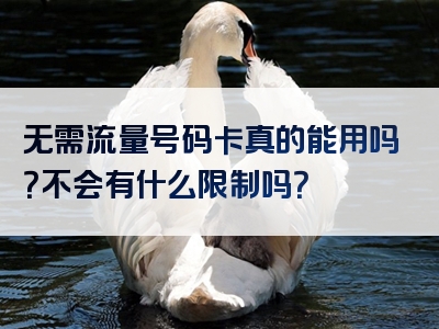 无需流量号码卡真的能用吗？不会有什么限制吗？