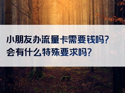 小朋友办流量卡需要钱吗？会有什么特殊要求吗？