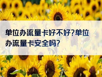 单位办流量卡好不好？单位办流量卡安全吗？