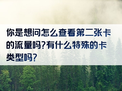 你是想问怎么查看第二张卡的流量吗？有什么特殊的卡类型吗？
