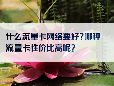 什么流量卡网络要好？哪种流量卡性价比高呢？