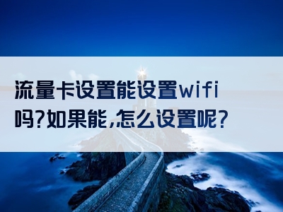 流量卡设置能设置wifi吗？如果能，怎么设置呢？