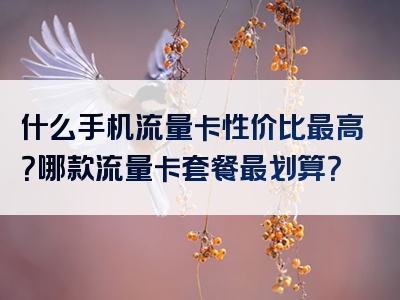 什么手机流量卡性价比最高？哪款流量卡套餐最划算？